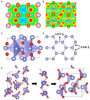 Noble Gases in Solid Compounds Show a Rich Display of Chemistry With Enough Pressure